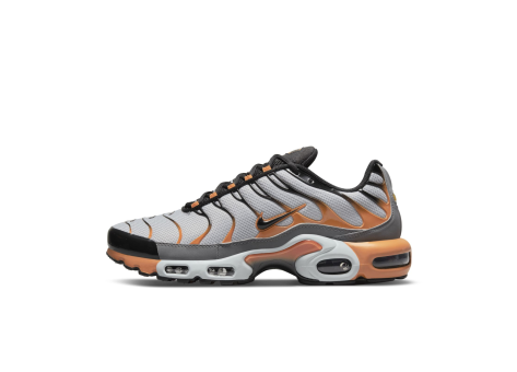 Nike Air Max Plus (DM0032-001) grau