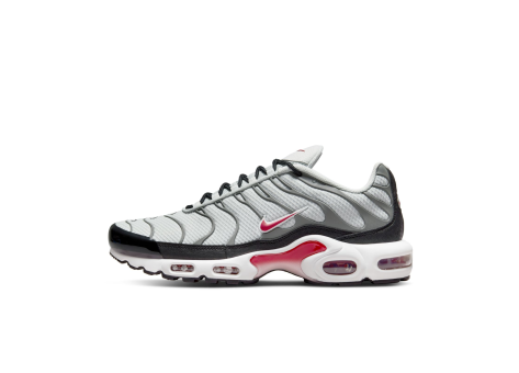 Nike Air Max Plus Photon Dust (DM0032-002) bunt