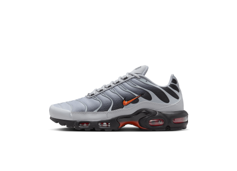 Nike Air Max Plus (DM0032-011) grau