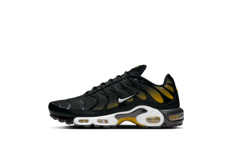 Nike Air Max Plus (DM0032-013) bunt