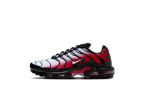 Nike Air Max Plus (DM0032-017) bunt