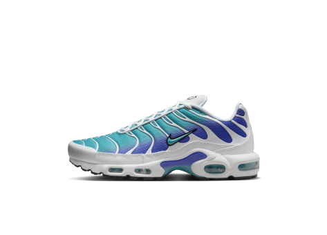 Nike Air Max Plus Aqua blau DM0032 102 Preisvergleich