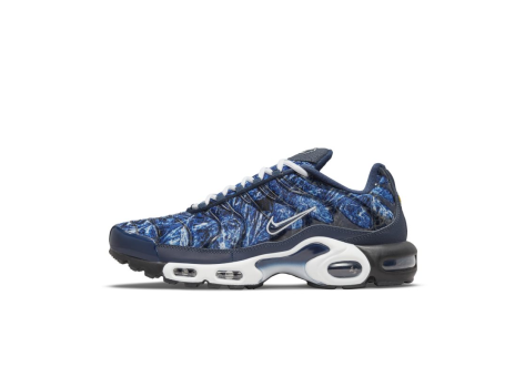 Nike Air Max Plus (DO6384-400) blau