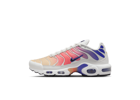 Nike Air Max Plus (DZ3670-003) grau