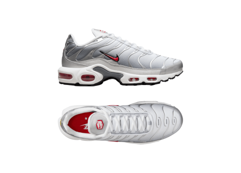 Nike Air Max Plus grau HM9654 001 Preisvergleich