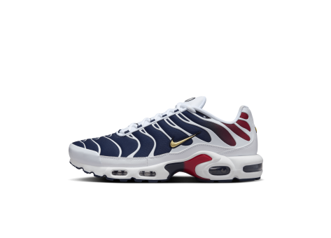 Nike Air Max Plus Psg (FZ4776-100) bunt