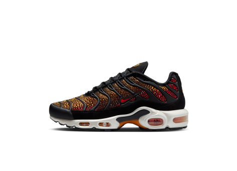 Nike Air Max Plus (FZ9042-001) bunt