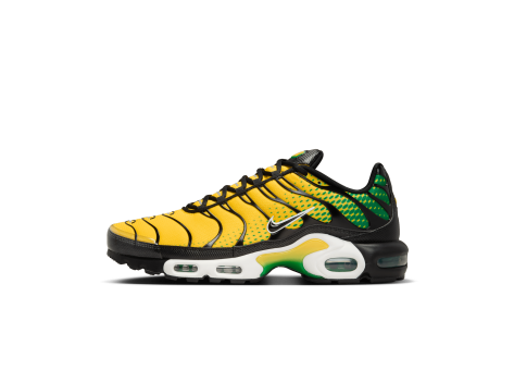 Nike Air Max Plus () (IB7671-700) bunt