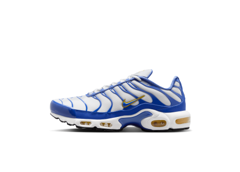 Nike Air Max Plus (IF6224-100) bunt