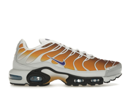Nike x One Block Down Air Max Plus Chutney (FZ3308-700) bunt