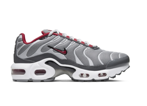 Nike Air Max Plus (CD0609-005) bunt