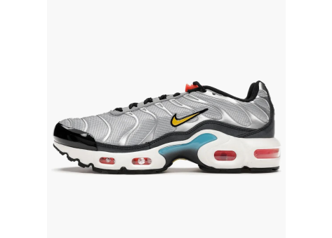 Nike Air Max Plus Sky Pack GS (CW6010 001) grau