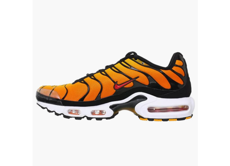 Nike Air Max Plus Sunset (604133-886) bunt