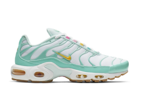 Nike Air Max Plus (CJ9925 300) bunt
