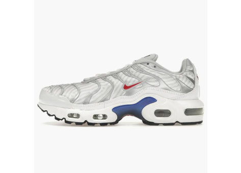 Nike Air Max Plus University gs (CZ5585-100) bunt