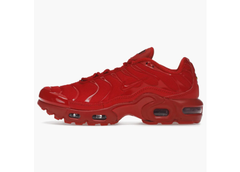 Nike Air Max Plus University GS (DM8877 600) rot
