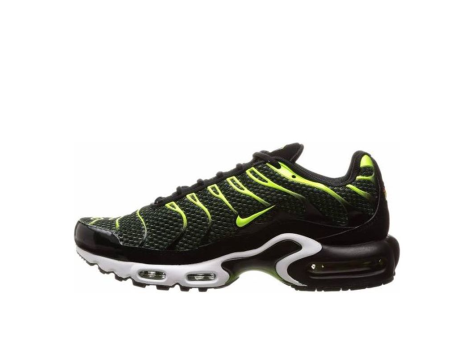 Nike Air Max Plus (852630-036) bunt
