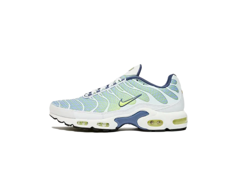 Nike Air Max Plus Wave Grid (HV6227-001) bunt