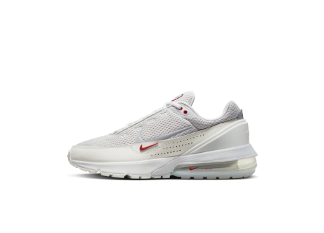 Nike Air Max Pulse Photon Dust (DR0453-001) grau