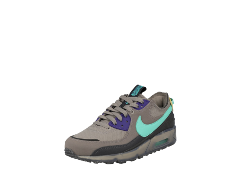 Nike Air Max Terrascape 90 (DQ3987 001) braun