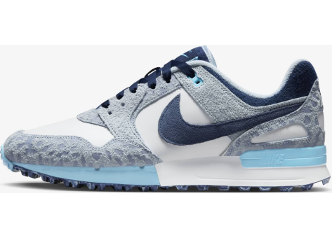 Nike Air Pegasus 89 Golf NRG Accept and Embrace (FN6914 400) bunt