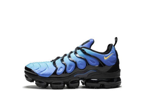 Nike Air VaporMax Plus (924453-008) bunt