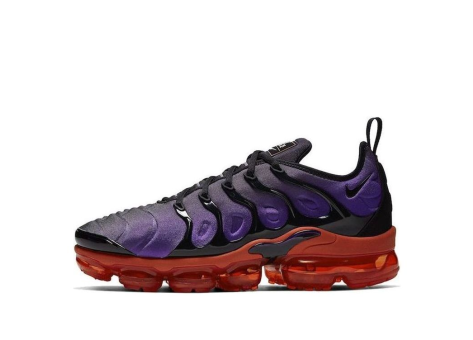 Nike Air VaporMax Plus (924453 500) bunt