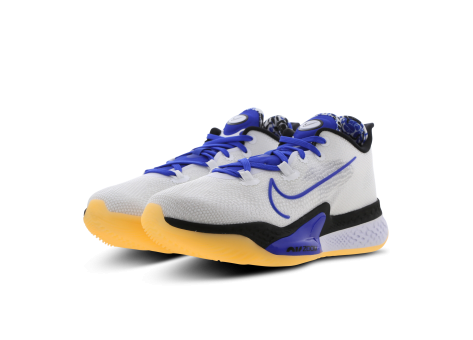 Nike Air Zoom BB NXT Sisterhood (DB9990-100) weiss