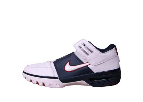 Nike Air Zoom Generation Low (308573 113) bunt
