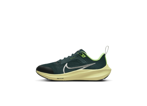 Nike Air Zoom Pegasus 40 (DX2498-301) grün