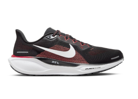 Nike NFL x Air Zoom Pegasus 41 (FZ5084 001) bunt