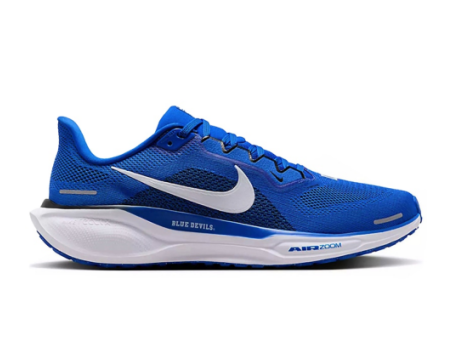 Nike Air Zoom Pegasus 41 (FZ5111 400) blau