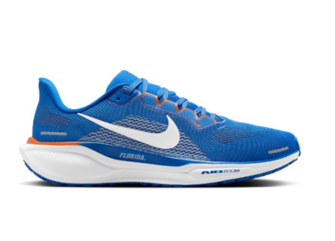 Nike Air Zoom Pegasus 41 (FZ5113-400) blau