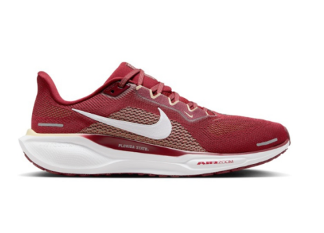 Nike Air Zoom Pegasus 41 (FZ5114 600) rot