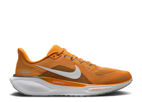 Nike Air Zoom Pegasus 41 (FZ5144 800) orange