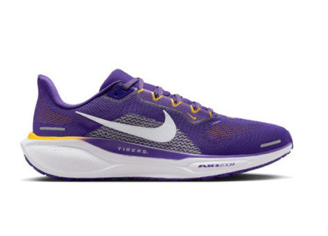 Nike Air Zoom Pegasus 41 (FZ5126-500) lila