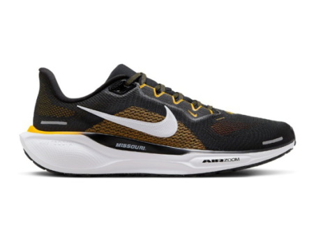 Nike Air Zoom Pegasus 41 (FZ5129-001) schwarz