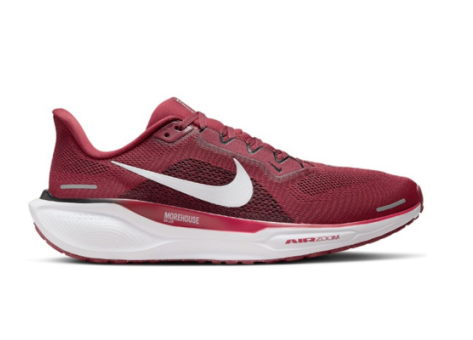 Nike Air Zoom Pegasus 41 (FZ5130-600) rot