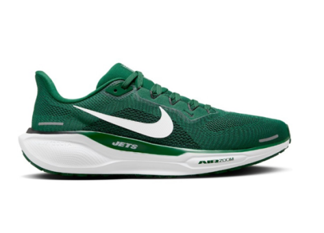 Nike Air Zoom Pegasus 41 (FZ5089-300) grün