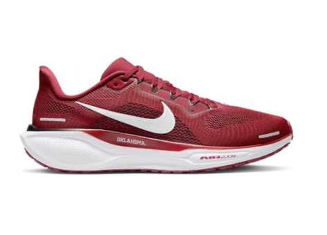 Nike Air Zoom Pegasus 41 (FZ5137 600) rot