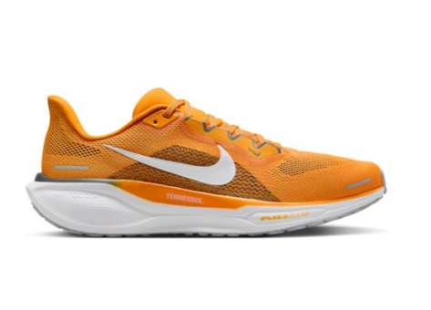 Nike Air Zoom Pegasus 41 (FZ5144 800) orange