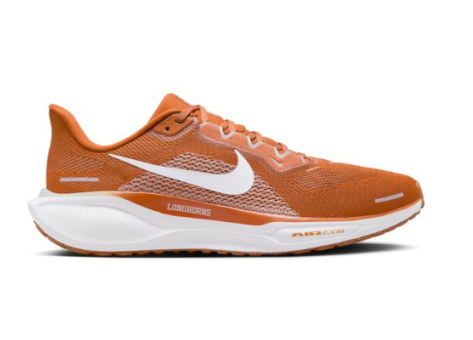 Nike Air Zoom Pegasus 41 (FZ5145-800) orange