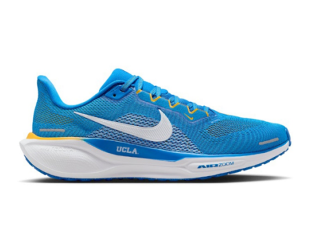 Nike Air Zoom Pegasus 41 (FZ5148-400) blau