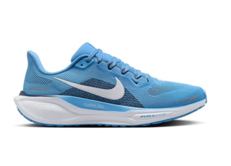 Nike Air Zoom Pegasus 41 (FZ5149 400) blau