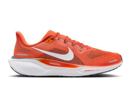 Nike Air Zoom Pegasus 41 (FZ5151-800) orange