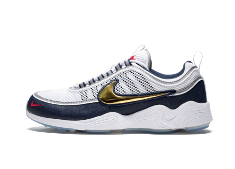 Nike Air Zoom Spiridon (849776 174) bunt