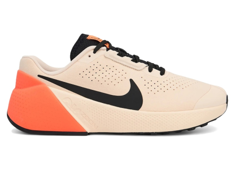 Nike Air Zoom TR1 (DX9016 800) beige