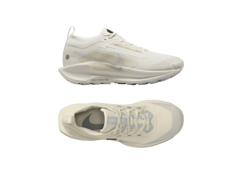 Nike Pegasus Trail 5 GORE TEX (FQ0912-102) weiss