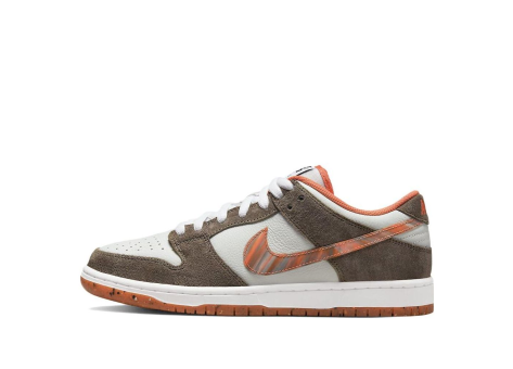 Nike Crushed D.C. x Dunk Low SB (DH7782 001) weiss