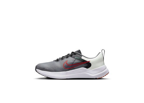 Nike Downshifter 12 (DM4194-007) grau